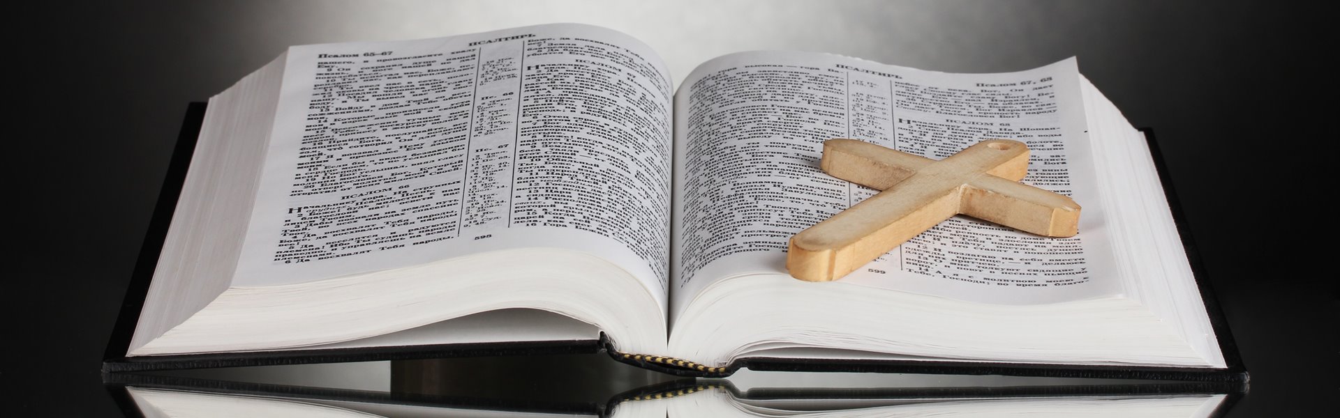 bibel---apen-2