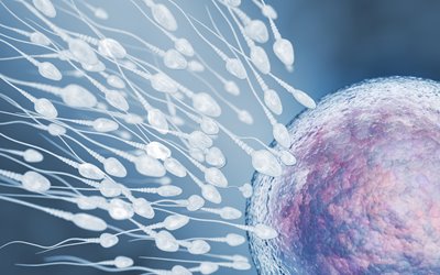illustration-of-sperm-and-egg-cell-pz9rx9s